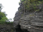 IMG 4356